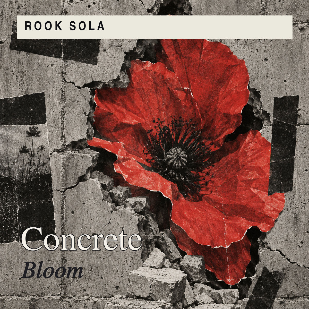 Concrete Bloom album artwork